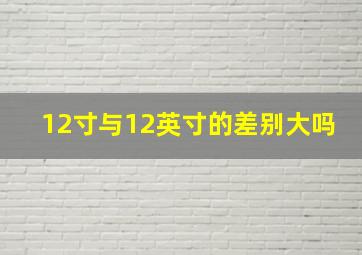 12寸与12英寸的差别大吗