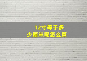 12寸等于多少厘米呢怎么算