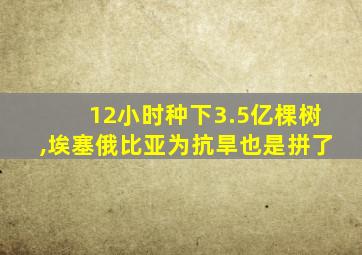 12小时种下3.5亿棵树,埃塞俄比亚为抗旱也是拼了