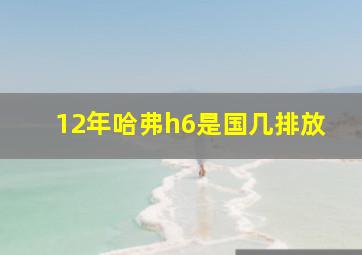 12年哈弗h6是国几排放