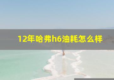 12年哈弗h6油耗怎么样