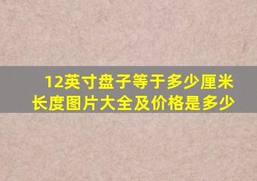 12英寸盘子等于多少厘米长度图片大全及价格是多少