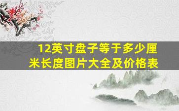 12英寸盘子等于多少厘米长度图片大全及价格表