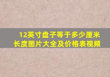 12英寸盘子等于多少厘米长度图片大全及价格表视频