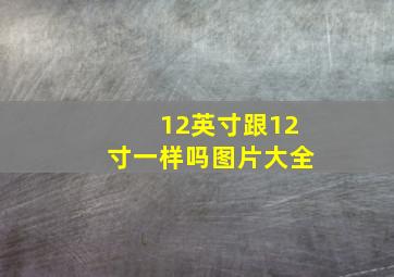 12英寸跟12寸一样吗图片大全