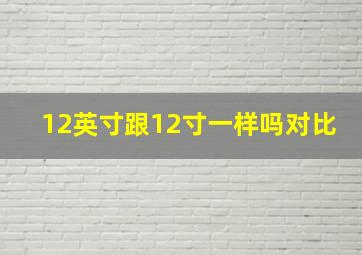 12英寸跟12寸一样吗对比