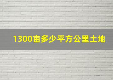 1300亩多少平方公里土地