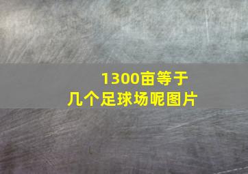 1300亩等于几个足球场呢图片