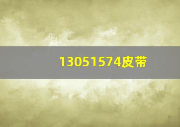 13051574皮带