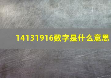 14131916数字是什么意思