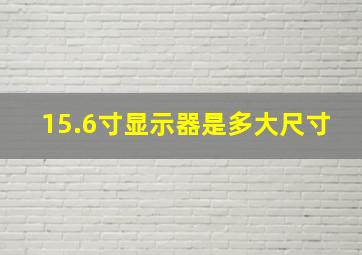 15.6寸显示器是多大尺寸