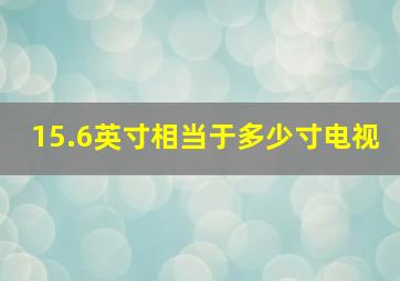 15.6英寸相当于多少寸电视