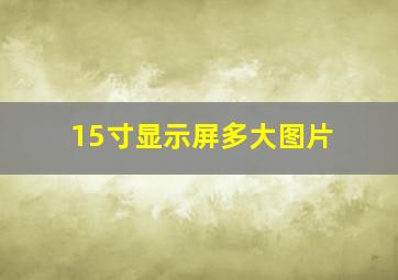 15寸显示屏多大图片