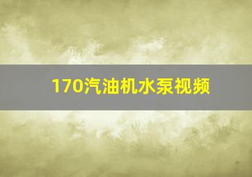 170汽油机水泵视频