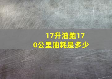 17升油跑170公里油耗是多少