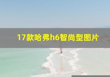 17款哈弗h6智尚型图片