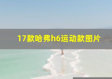 17款哈弗h6运动款图片