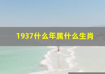 1937什么年属什么生肖