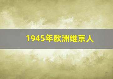 1945年欧洲维京人