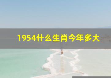 1954什么生肖今年多大