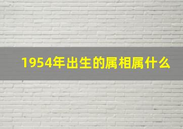 1954年出生的属相属什么