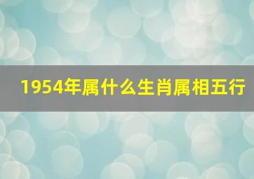 1954年属什么生肖属相五行