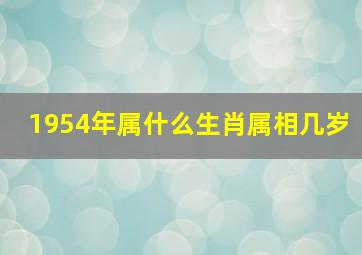 1954年属什么生肖属相几岁