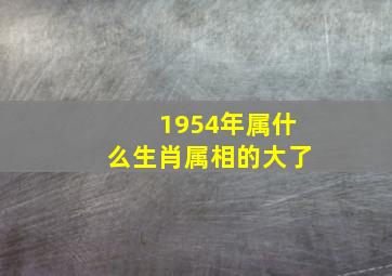 1954年属什么生肖属相的大了