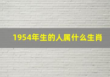 1954年生的人属什么生肖