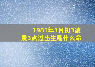 1981年3月初3凌晨3点过出生是什么命