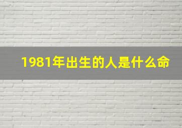 1981年出生的人是什么命