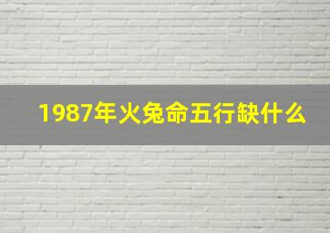 1987年火兔命五行缺什么