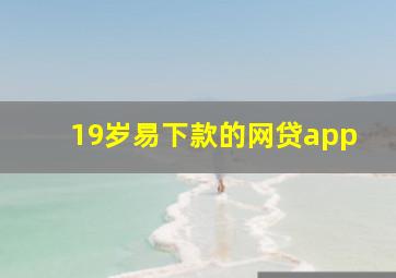 19岁易下款的网贷app