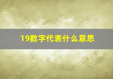 19数字代表什么意思