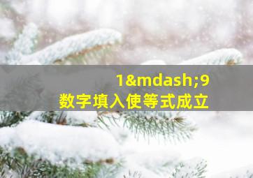 1—9数字填入使等式成立