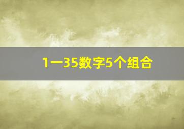 1一35数字5个组合