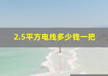 2.5平方电线多少钱一把