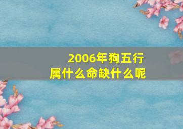 2006年狗五行属什么命缺什么呢