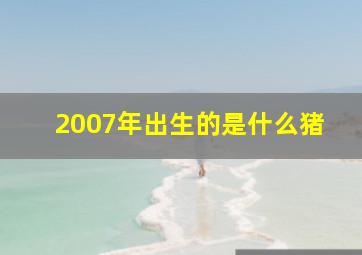 2007年出生的是什么猪