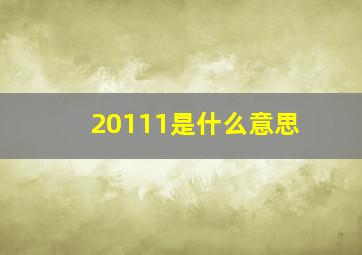 20111是什么意思