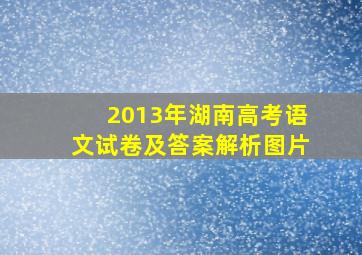 2013年湖南高考语文试卷及答案解析图片