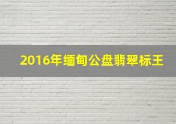 2016年缅甸公盘翡翠标王