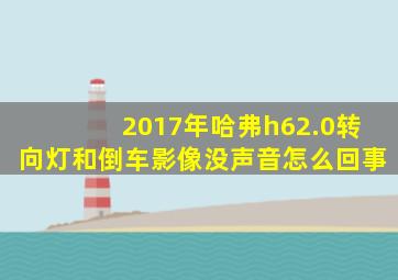 2017年哈弗h62.0转向灯和倒车影像没声音怎么回事