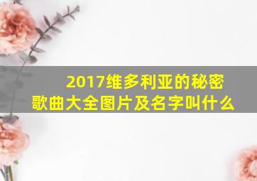 2017维多利亚的秘密歌曲大全图片及名字叫什么