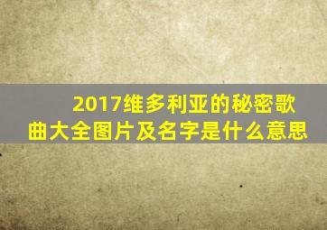 2017维多利亚的秘密歌曲大全图片及名字是什么意思