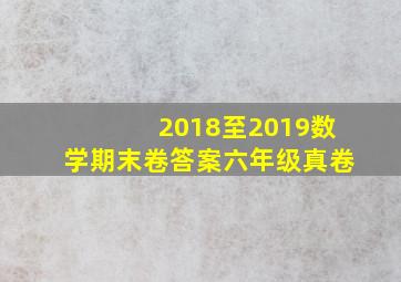 2018至2019数学期末卷答案六年级真卷