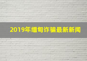 2019年缅甸诈骗最新新闻