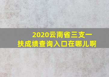 2020云南省三支一扶成绩查询入口在哪儿啊