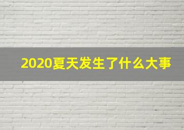 2020夏天发生了什么大事