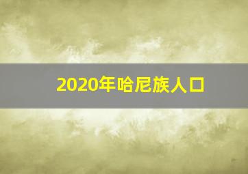 2020年哈尼族人口